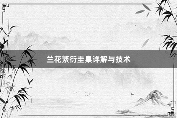 兰花繁衍圭臬详解与技术