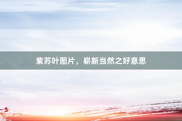 紫苏叶图片，崭新当然之好意思