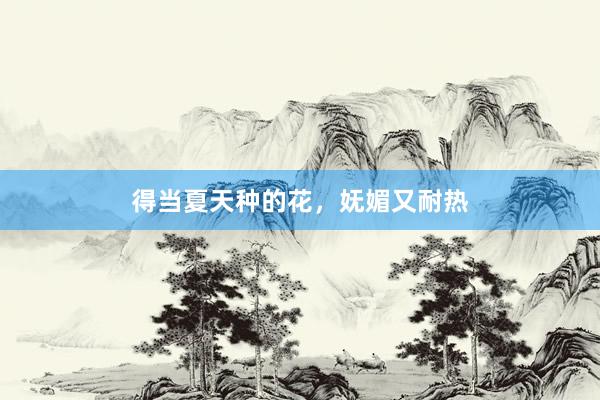 得当夏天种的花，妩媚又耐热