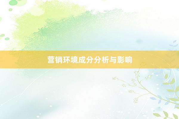 营销环境成分分析与影响